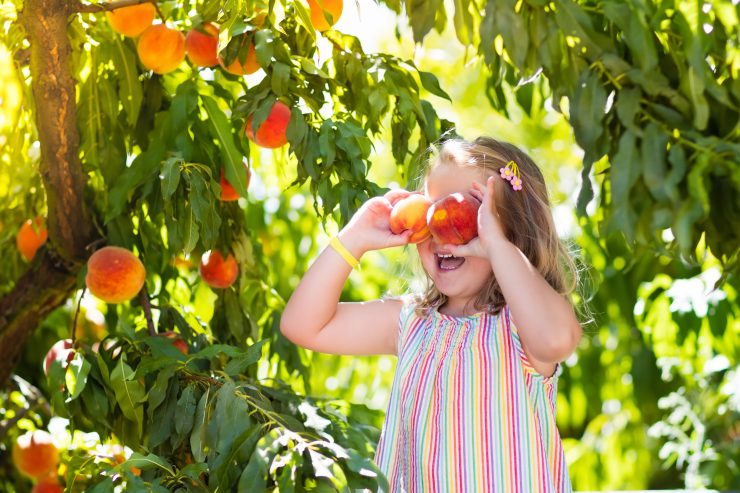 Mädchen steht unter einem Baum und hält sich zwei Pfirsiche vor die Augen. Fondssparen