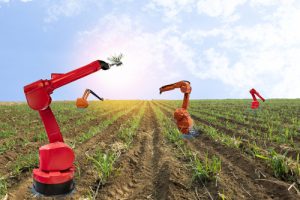 Roboter bei der Ernte am Feld - Megatrend Smart Farming