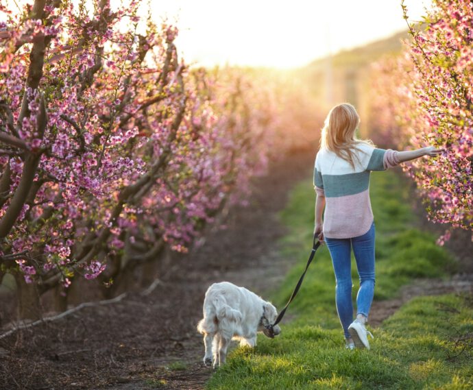 Eine Frau geht mit Hund in der Natur spazieren - wie du durch Resilienz Krisen besser meistern kanst