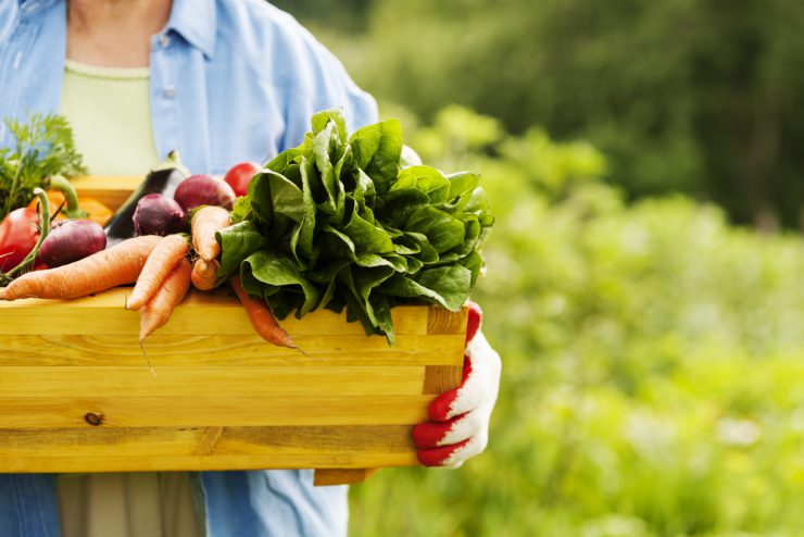 Regional einkaufen: Frau mit Gemüsekiste: Solidarität made in Austria
