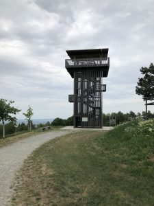 Der Waldlehrpfad Eisenstadt ist gut für Kinder geeignet - auch ein Geheimtipp in Österreich
