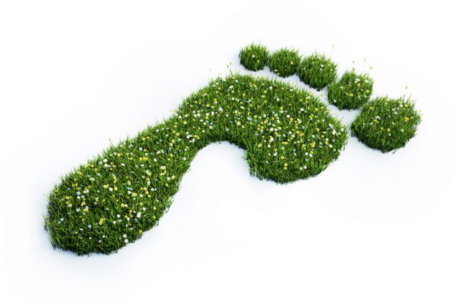Ein grüner Fußabdruck zeigt den Weg zur klimaneutralen KAG.
