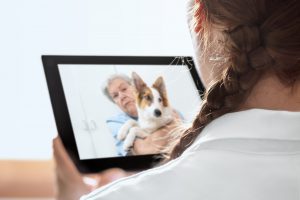 Eine Ärztin spricht via Tablet mit einer Dame über die Gesundheit ihres Hundes - Telehealth.
