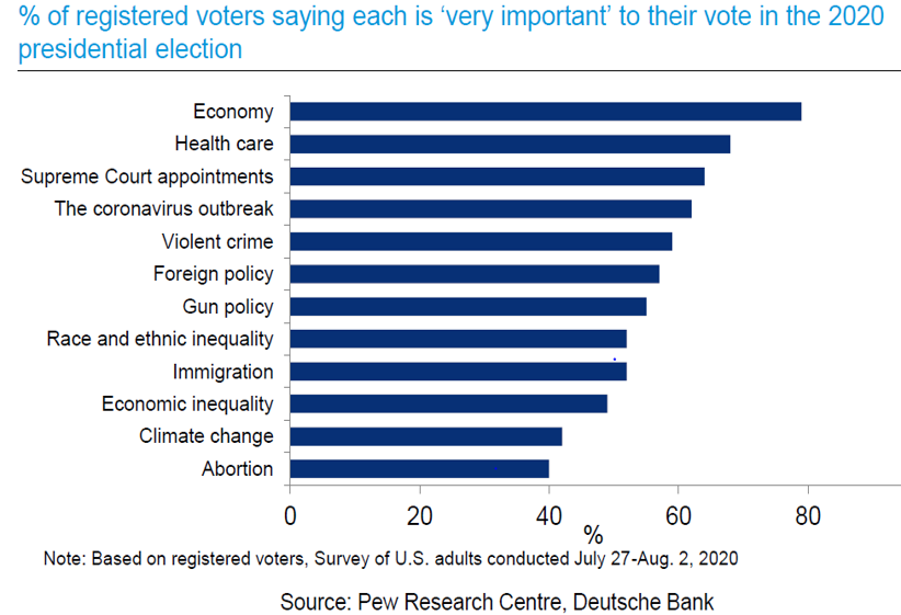 Die Grafik zeigt Themen, die bei der heurigen US-Wahl von Bedeutung sind.