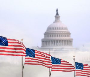 Zu sehen das Capitol in Washington - Senatswahl im Jänner 2021
