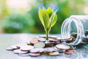 Aus den Münzen wächst eine Pflanze - Geld für Green Deal aus nachhaltiger Veranlagung