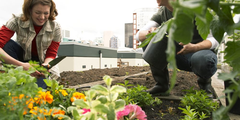 Urban Gardening - Frau und Mann haben Spaß beim Anpflanzen