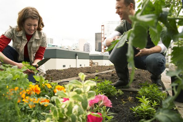 Urban Gardening - Frau und Mann haben Spaß beim Anpflanzen