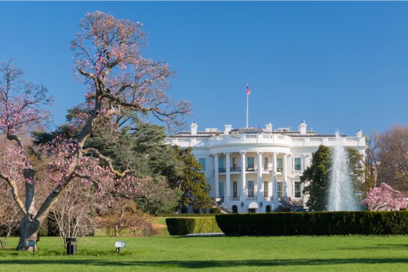 Weißes Haus im Frühling - 100 Tage US-Präsident Joe Biden