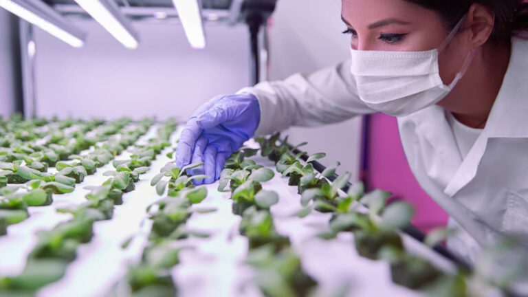 Laborantin überprüft Pflanzen - Future Food