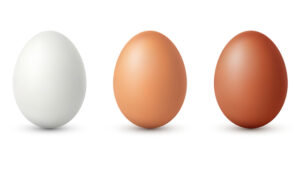 3 Eier zu sehen - Kennzeichnung ist wichtig