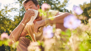 Mann sitzt im Blumenfeld und muss niesen