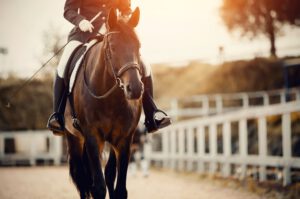 Reiterin sitzt auf dem Pferd - setze beim Fonds kaufen nicht alles auf ein Pferd