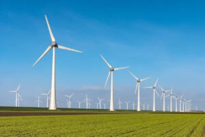 Auf einem Feld steht eine große Anzahl an Windrädern, die eine immer größer werdende Rolle in erneuerbaren Energien spielen. 