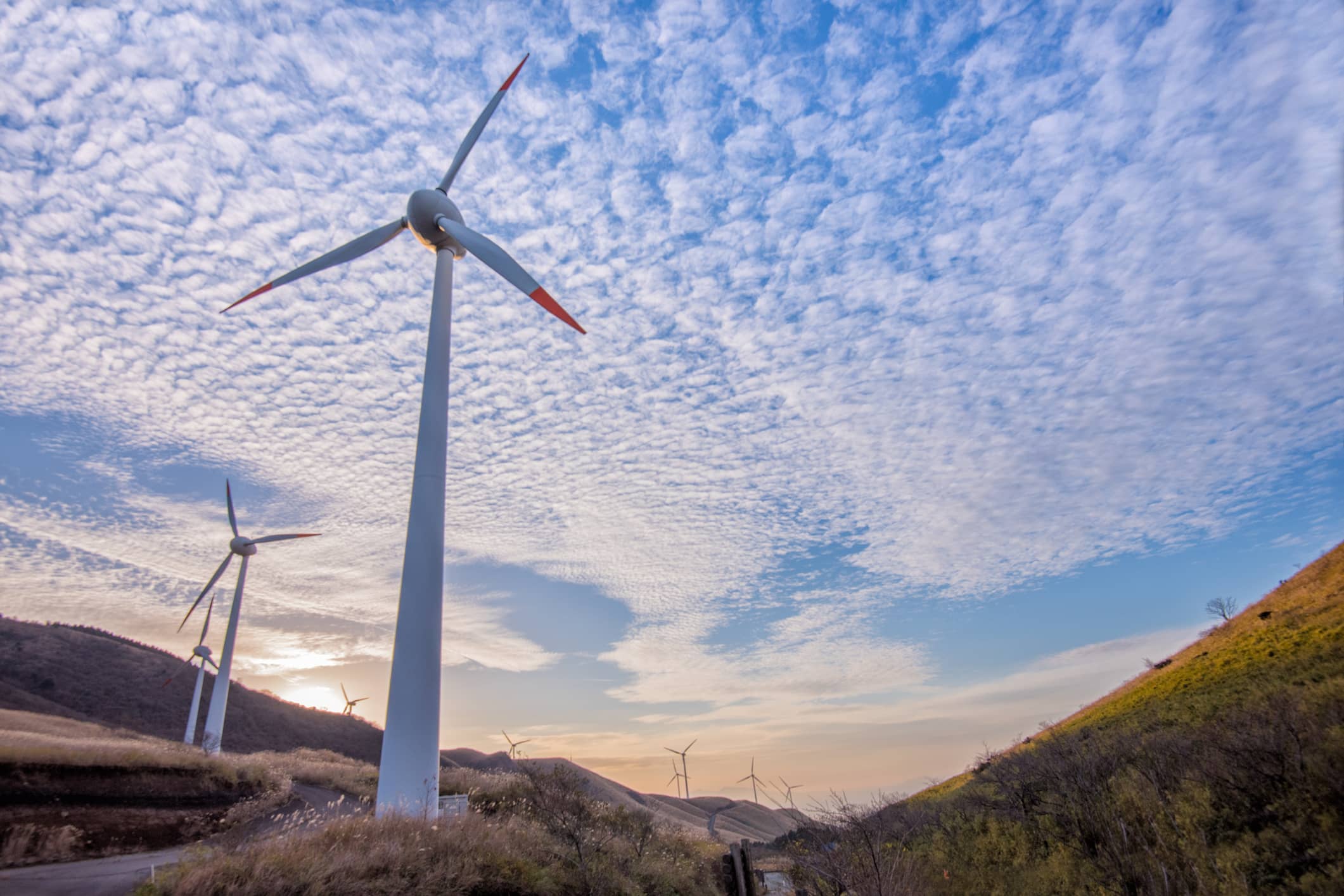 Windräder sorgen für Infrastruktur, globaler Investitionstrend